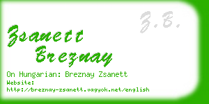 zsanett breznay business card